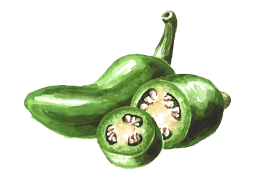 Jalapeno