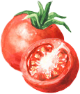 Tomato